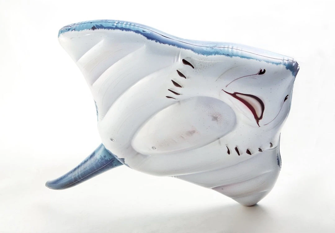 Intex Stingray Ride-On 57550 Beach & Pool 5 Intex Stingray Ride-On 57550 Beach & Pool