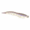 Lures & Bait Berkley Gulp! Translucent Shrimp Starry Night 4" 4ct
