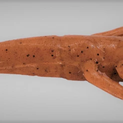 Lures & Bait Fishbites Fight Club Fight'n Shrimp Knock Out 6pk