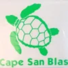 Auto-Graphs Decals Cape San Blas Sea Turtle Green Decal