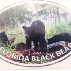 Auto-Graphs Florida Black Bear Decal