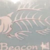 Auto-Graphs Beacon Hill Angry Fish Decal