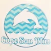 Auto-Graphs Cape San Blas Dolphin Decal Decals