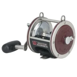 Reels Penn Special Senator Star Drag Reel 113H2SP 4/0 8 Reels Penn Special Senator Star Drag Reel 113H2SP 4/0
