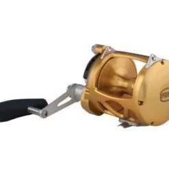 Reels Penn International VI INT50VISW