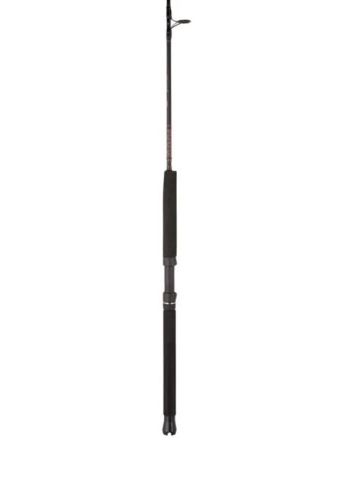 Penn Rampage® Jig Spinning Rod 6' 6" RAMJG3080S66 3 Penn Rampage® Jig Spinning Rod 6' 6" RAMJG3080S66