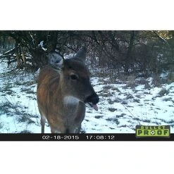 Primos Game Camera Bullet Proof 63053 Hunting