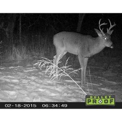 Primos Game Camera Bullet Proof 63053 Hunting