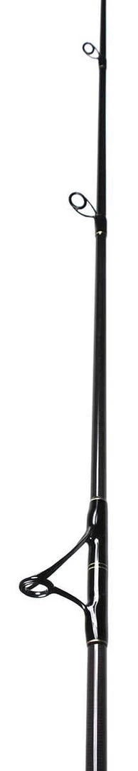 Fishing Star Rods Paraflex Surf Spinning Rod 10' 6" PFS1020S106 5 Fishing Star Rods Paraflex Surf Spinning Rod 10' 6" PFS1020S106