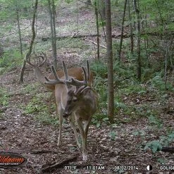 Wildgame Innovations Wildgame Cloak 4 Lightsout Trail Camera K4B1