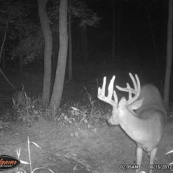 Wildgame Innovations Wildgame Cloak 4 Lightsout Trail Camera K4B1