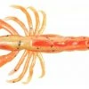 Berkley Gulp! Ghost Shrimp Natural With Sparkle 3" 7pk 1 Berkley Gulp! Ghost Shrimp Natural With Sparkle 3" 7pk